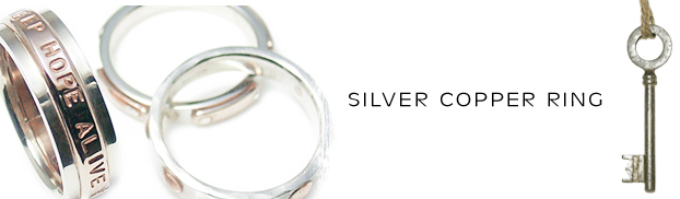 ��+�V���o�[�����O�i�w�ցj