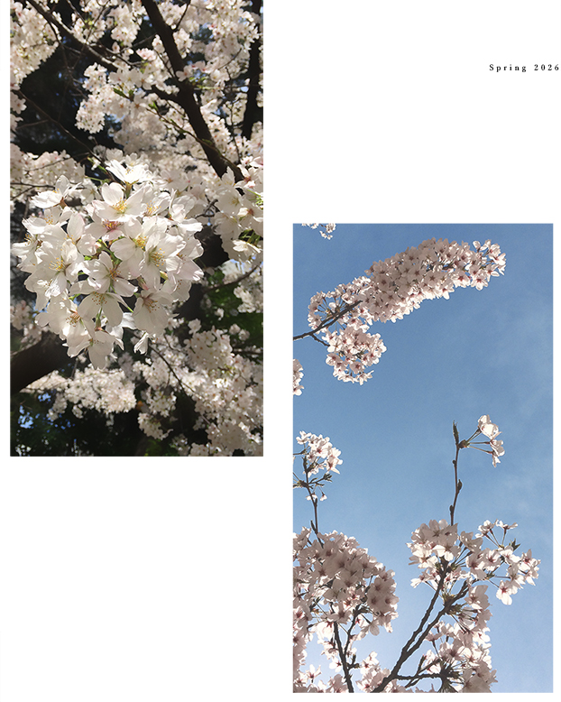 �V��V���o�[�u���X���b�g���������