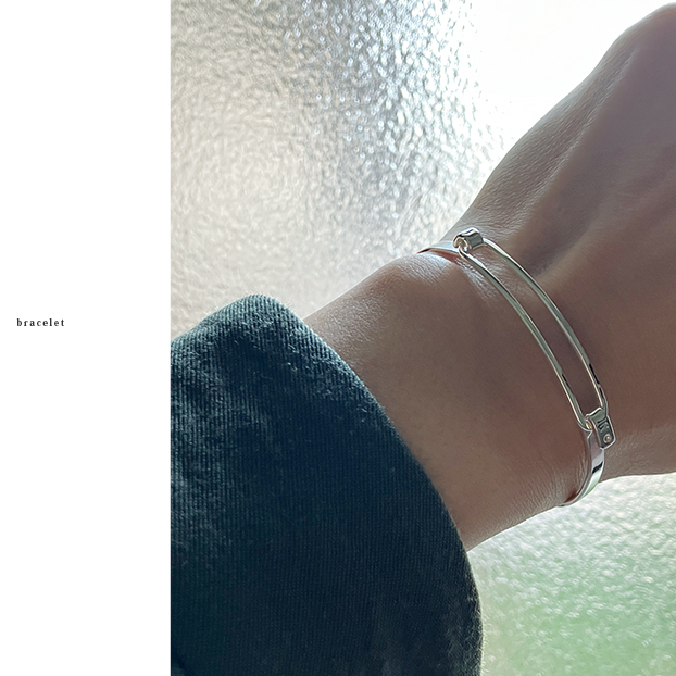 �V��V���o�[�u���X���b�g���������