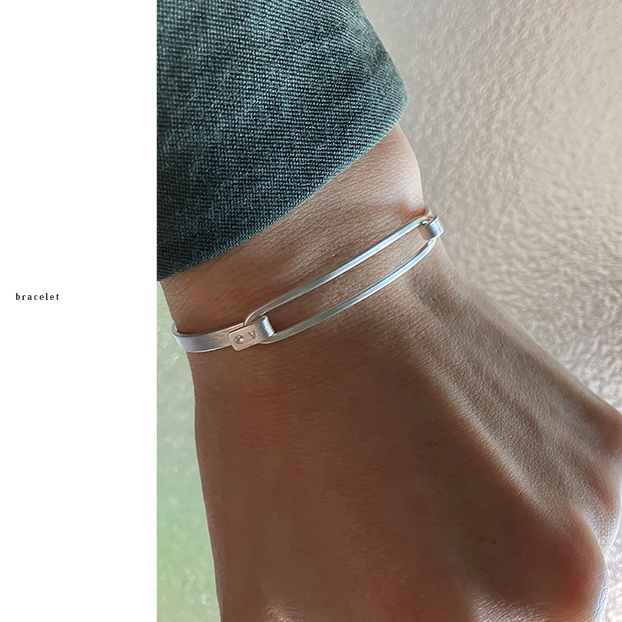 �V��V���o�[�u���X���b�g���������