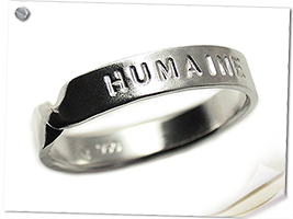 a fish �c�C�X�g�V���o�[�����O�^���j�Z�b�N�X