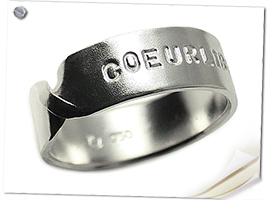 a fish �c�C�X�g�V���o�[�����O�^���j�Z�b�N�X