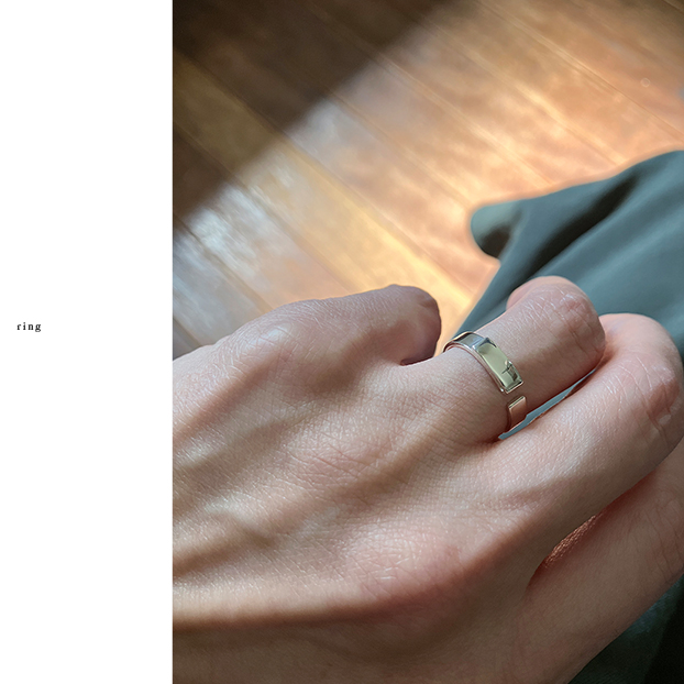 �V��V���o�[�����O